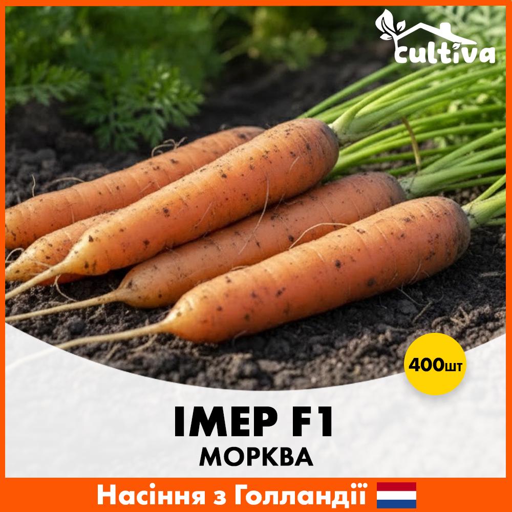 Насіння моркви Rijk Zwaan Імер F1 400 шт. (R51211)
