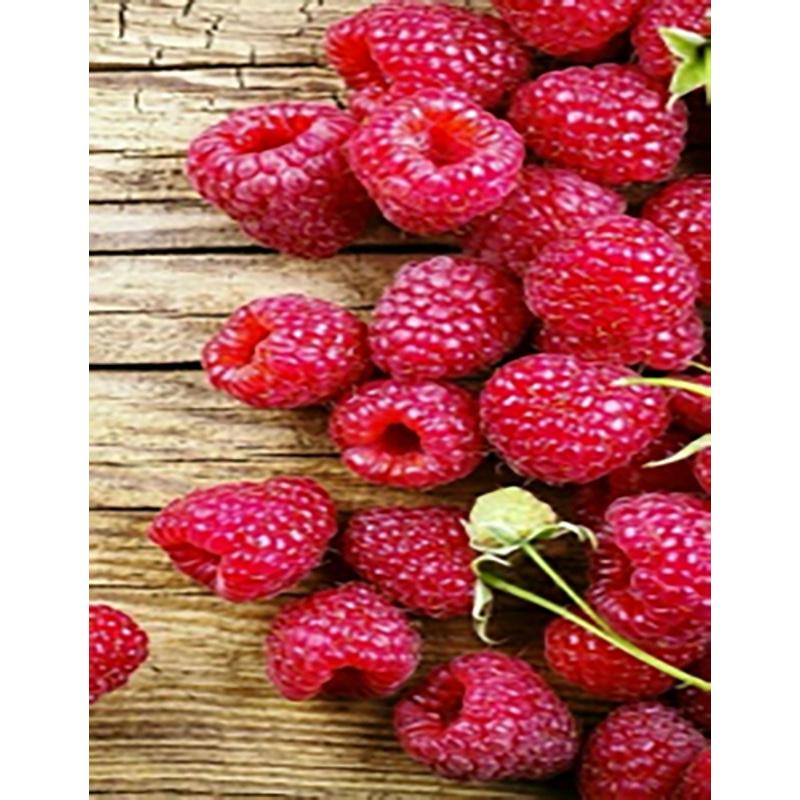 Алмазная мозаика Strateg Премиум Сочная малина 40x50 см (Str-JSFH85871)