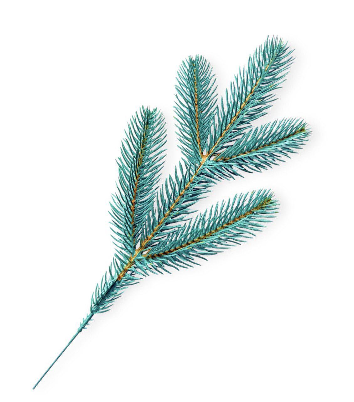 Гілка лита ПЛАСТМАКС №3 п'ятипала двостороння 30 см Блакитний (GS3/3)