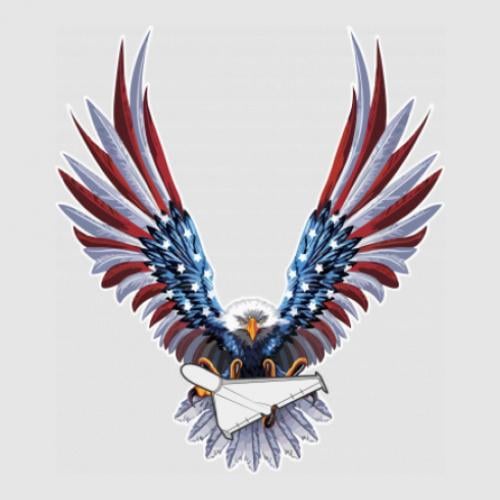 Стікер American Eagle air defense 43,5x50 см Різнокольоровий (21560314)
