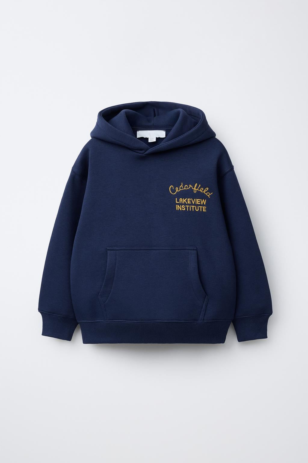 Худи для мальчика Zara 164 см Синий (1701766401)