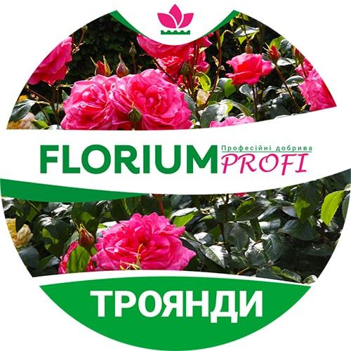 Удобрение Florium для роз 4 м 500 г (13721)