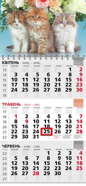 Календарь квартальный офисный 3 Три Котика в цветах