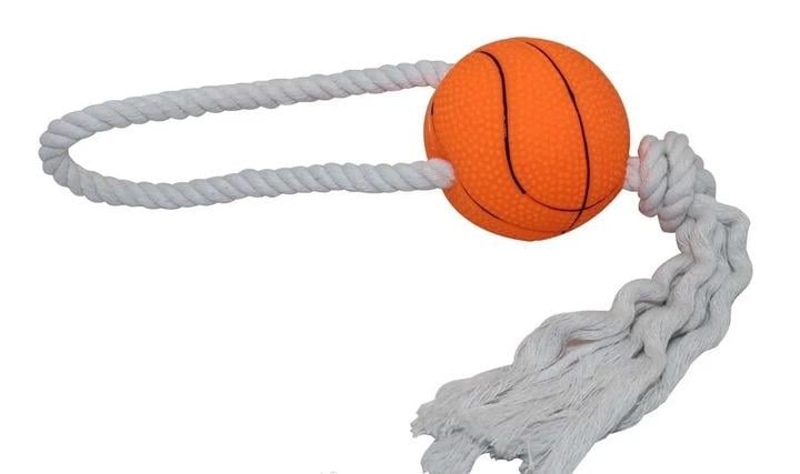 Игрушка виниловая ZooMax баскетбольный мяч на веревке для собак 6,5x35 см (EV082)