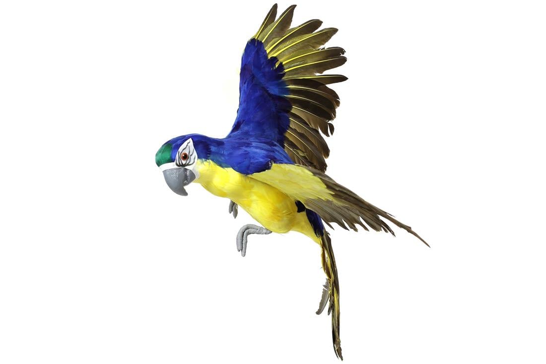 Декоративная птица BonaDi Попугай (743-504)