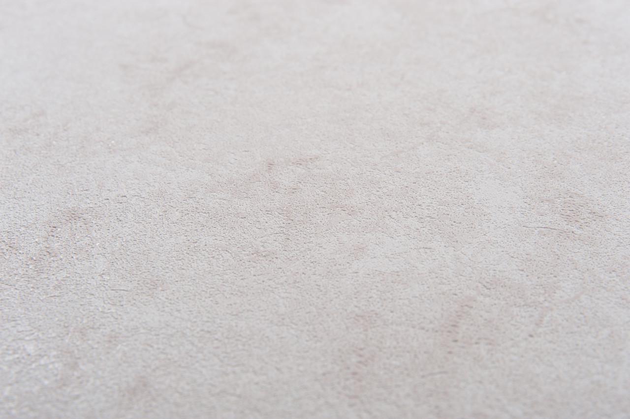 Шпалери універсальні LS миючі 10,05х1,06 м Капучиновий (3-1564) - фото 3 Шпалери універсальні LS миючі 10,05х1,06 м Капучиновий (3-1564) - фото 3