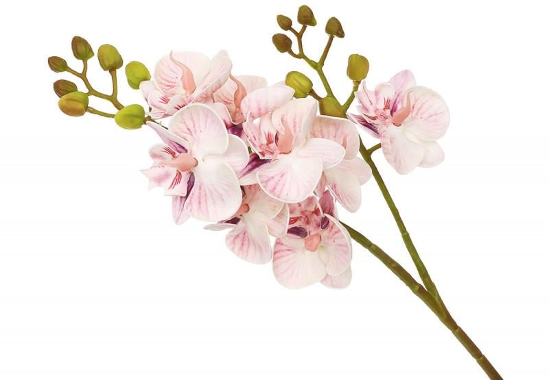 Искусственная декоративная ветвь Орхидея из латекса 8 цветков 16х60 см Светло-сиреневый (140004)