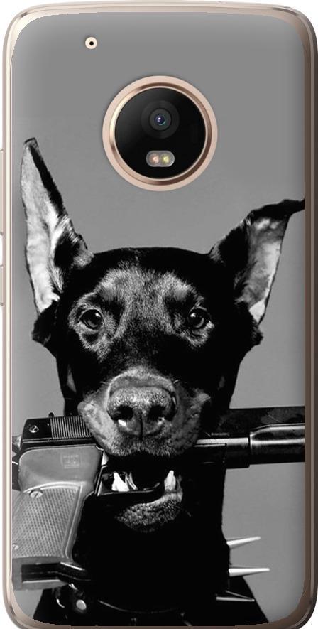 Чехол на Motorola Moto G5 PLUS Доберман (2745u-1038-42517)