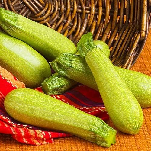 Семена Кабачок Florium Ангеліна F1 (10047)