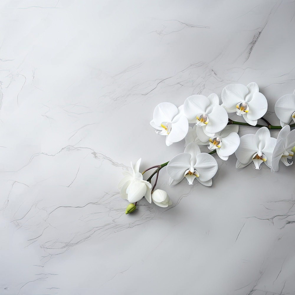 Фотофон вініловий текстурний Gipermag Orchids on marble 50х50 см (7822)