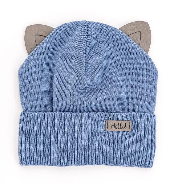 Шапка детская для мальчиков Карл D851 флис 44-48 см Голубой