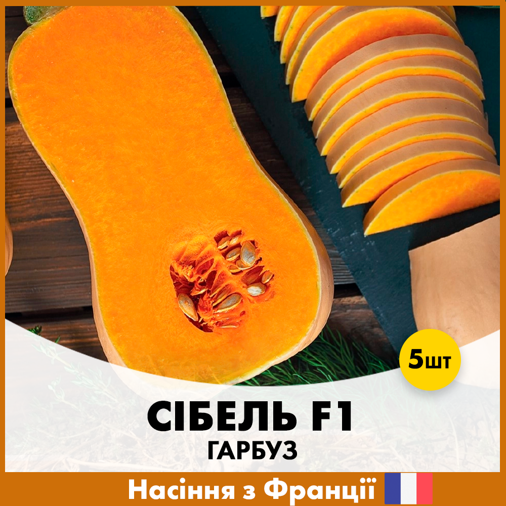 Семена тыквы Clause Сибель F1 5 шт. (R30338)
