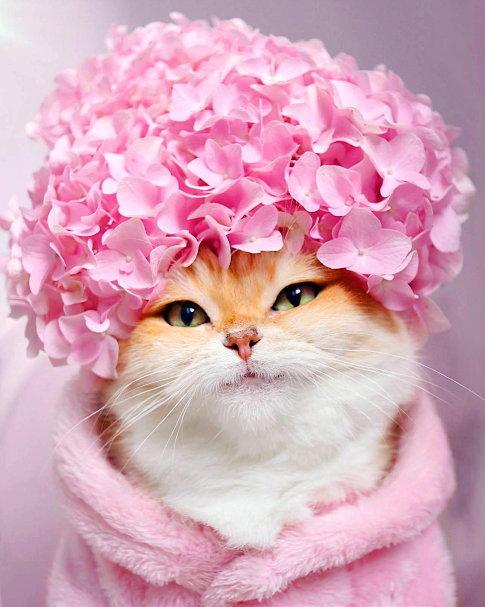 Алмазная мозаика на подрамнике Santi Гламурная кошка 40x50 см (Top-954337)