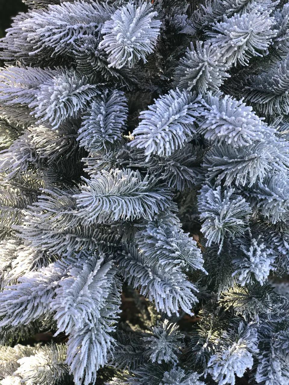 Сосна новогодняя литая HVOYA Заснеженная 1,8м Зеленый (800/180/GS) - фото 3 Сосна новогодняя литая HVOYA Заснеженная 1,8м Зеленый (800/180/GS) - фото 3