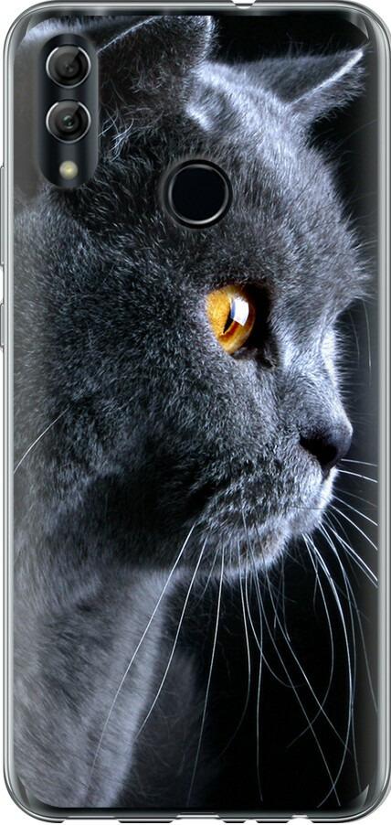 Чехол на Huawei Honor 10 Lite Красивый кот (3038t-1618-42517)
