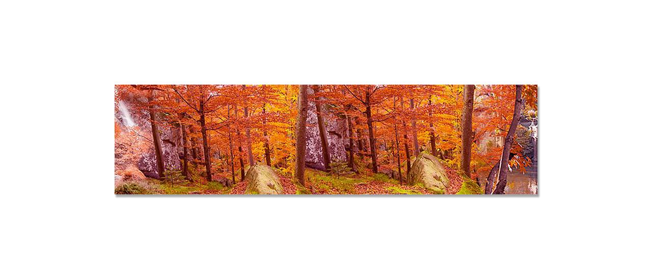 Наклейка виниловая на кухню Zatarga Осенний Лес 650х2500 мм (1271805795)