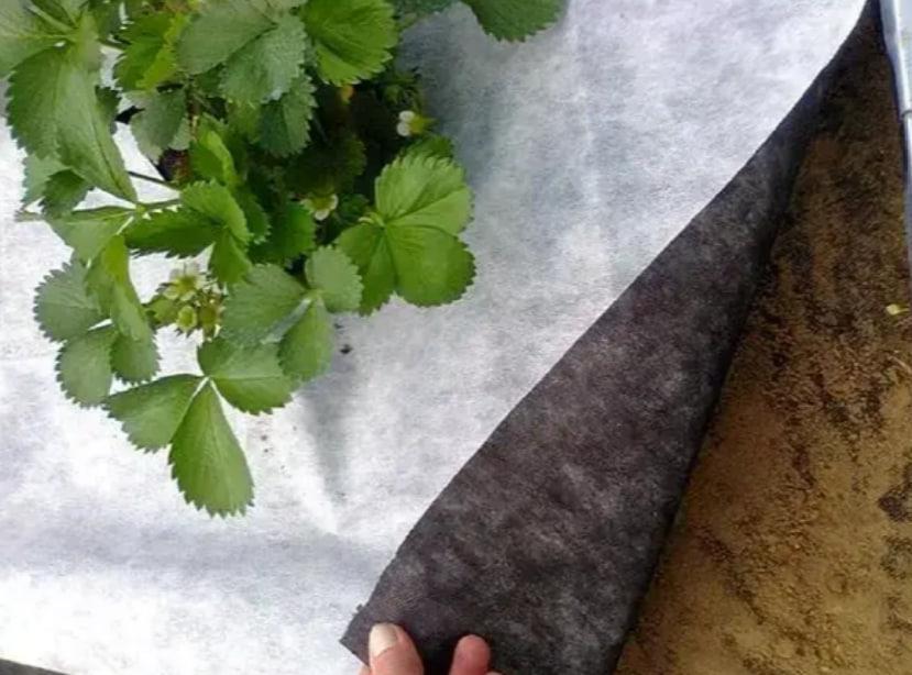 Агроволокно для огорода Shadow 1,07 х 100 м Черно-белый (iz16935) - фото 3 Агроволокно для огорода Shadow 1,07 х 100 м Черно-белый (iz16935) - фото 3