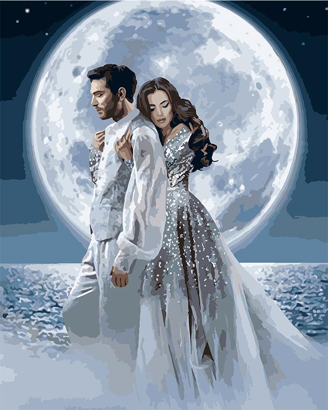 Картина по номерам Идейка Под лунным светом 40x50 см (KH4552)