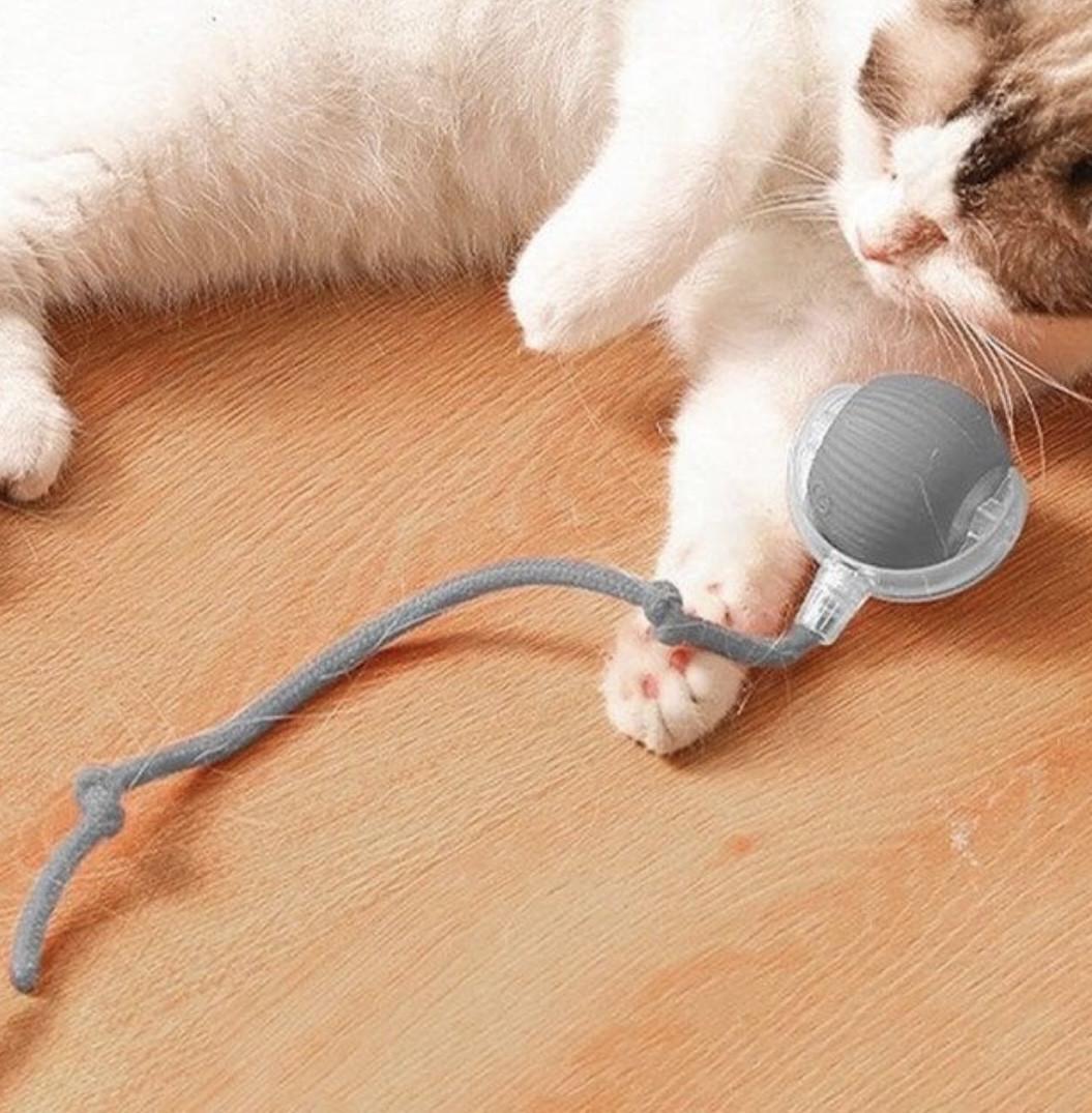 Іграшка інтерактивна для кота (2480198454) - фото 6