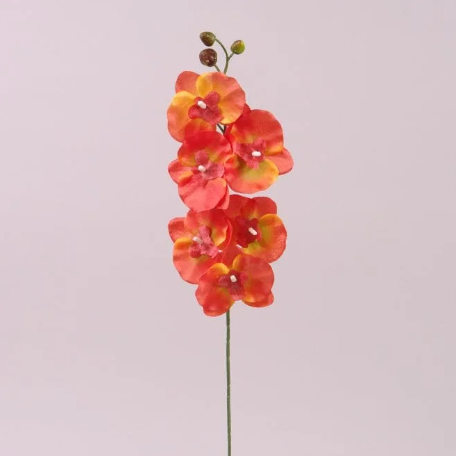 Цветок Фаленопсис Flora 6 шт. Оранжевый (72876)