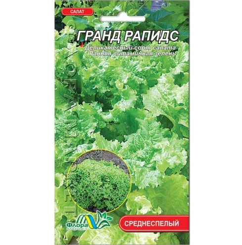 Семена Гранд Рапидс полукочанный среднеспелый 0,2 г (26713)