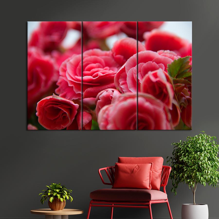 Картина цветы и растения Яркие цветы бегонии 156x100 см (A1062-3)