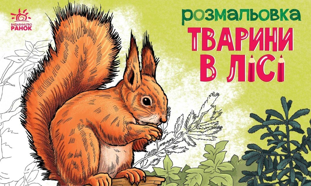Книга "Раскраска с животными. Животные в лесу" 9789667515102
