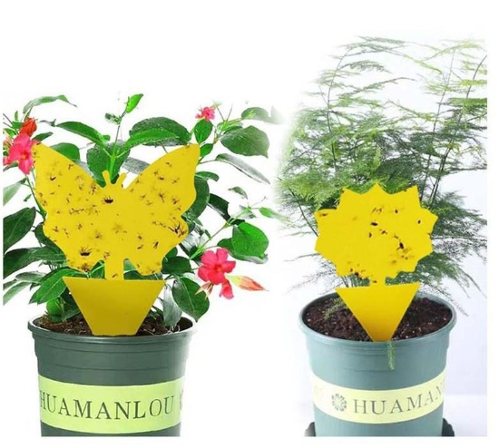 Липка еко пастка для комах Метелик Квітка двостороння 1 шт. (21233892) - фото 4 Липка еко пастка для комах Метелик Квітка двостороння 1 шт. (21233892) - фото 4