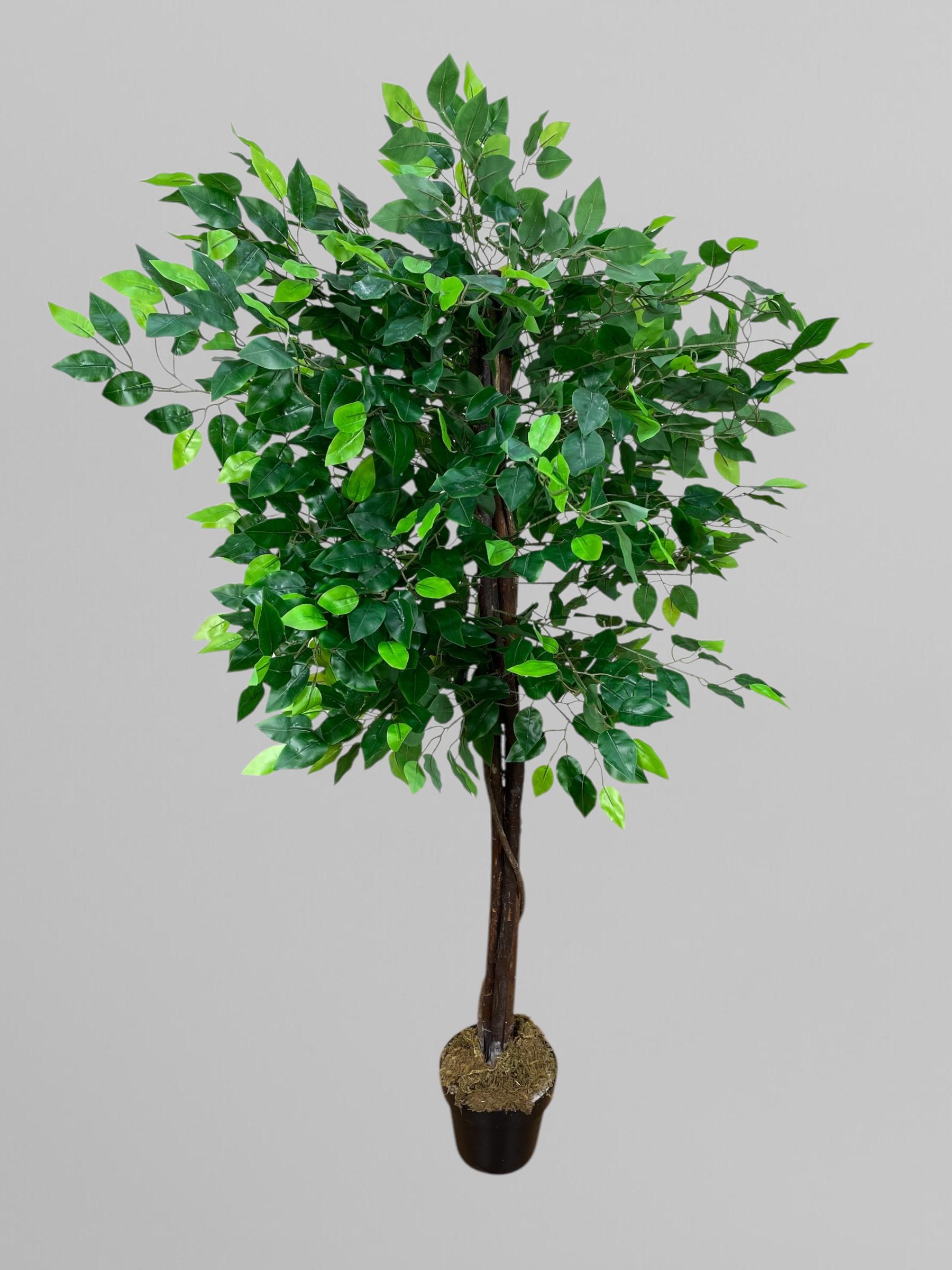 Штучний фікус Бенжаміна 160 см Зелений (Д02004)