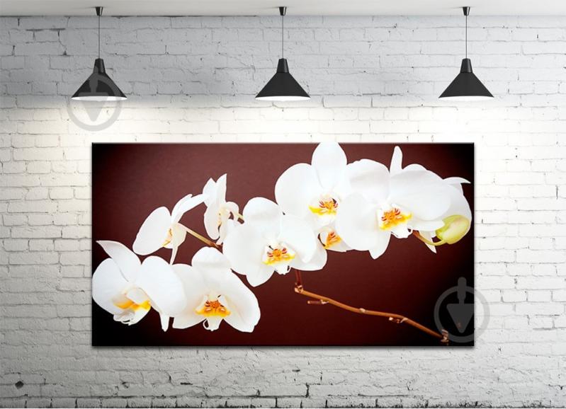 Картина на холсте ProfART S50100-c438 100 x 50 см Цветы (hub_fpze58184)