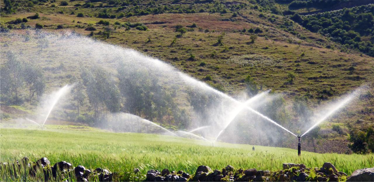 Дождеватель Presto-PS ороситель импульсный на 2 форсунки с резьбой 1'' (7025) - фото 4