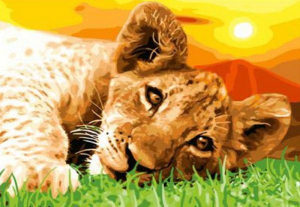 Картина по номерам Josef Otten Животные Львенок 40х50 см в термопакете (5185RA_O-mt)