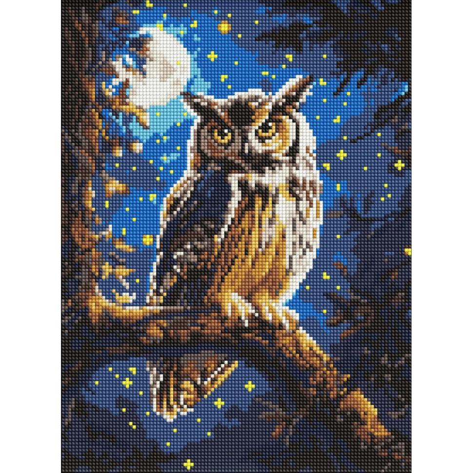 Алмазна мозаїка Ideyka Нічна сова 30x40 см (AMO8160)