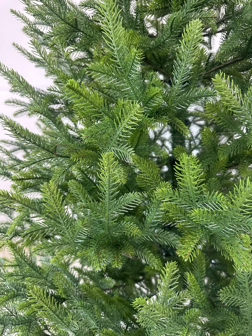 Елка искусственная HVOYA Forest литая с градиентом молодой хвои 220 см Зеленый (260/220/Mix) - фото 2 Елка искусственная HVOYA Forest литая с градиентом молодой хвои 220 см Зеленый (260/220/Mix) - фото 2