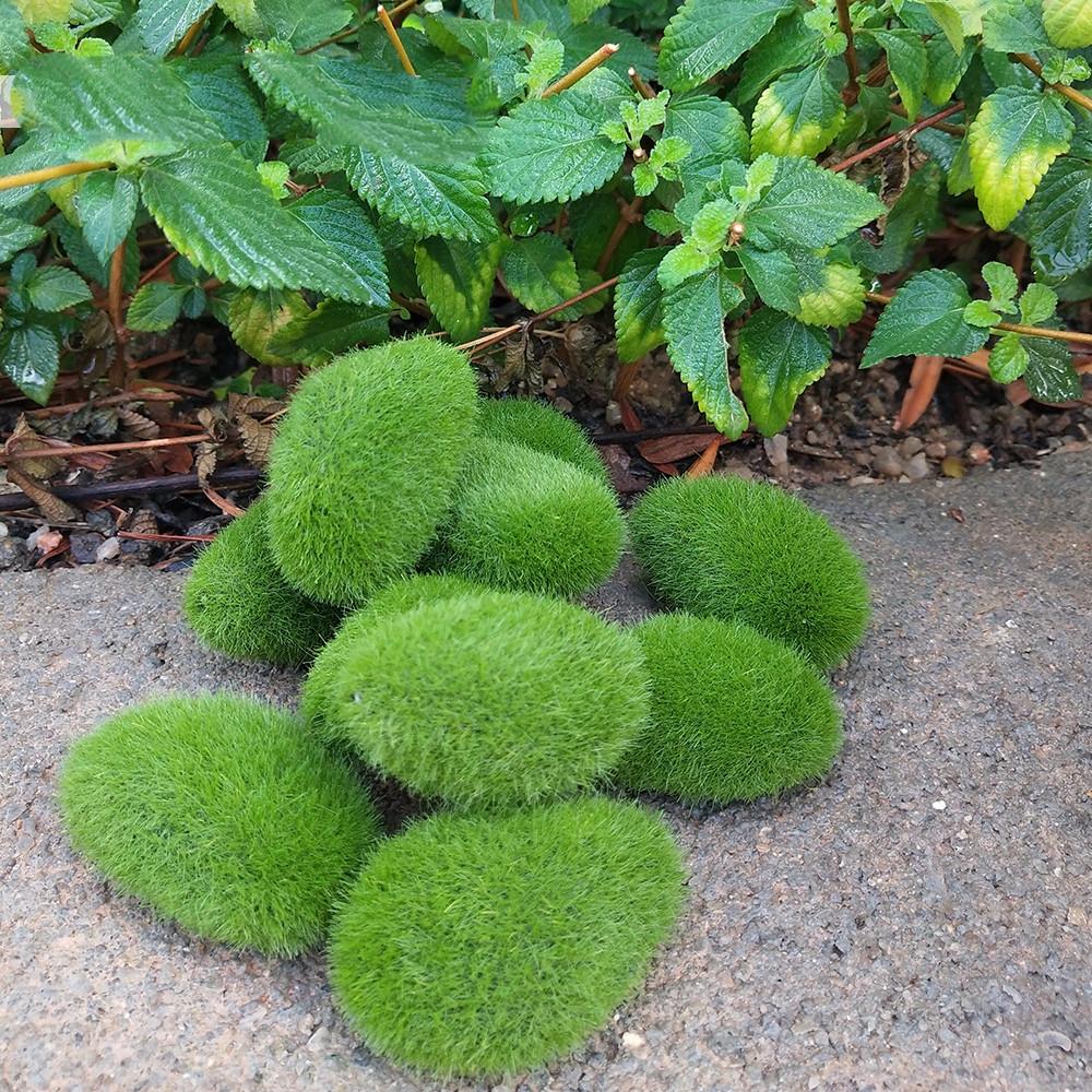 Каміння декоративне штучне з мохом для декору флористики хендмейду 30 шт. Зелений - фото 6 Каміння декоративне штучне з мохом для декору флористики хендмейду 30 шт. Зелений - фото 6