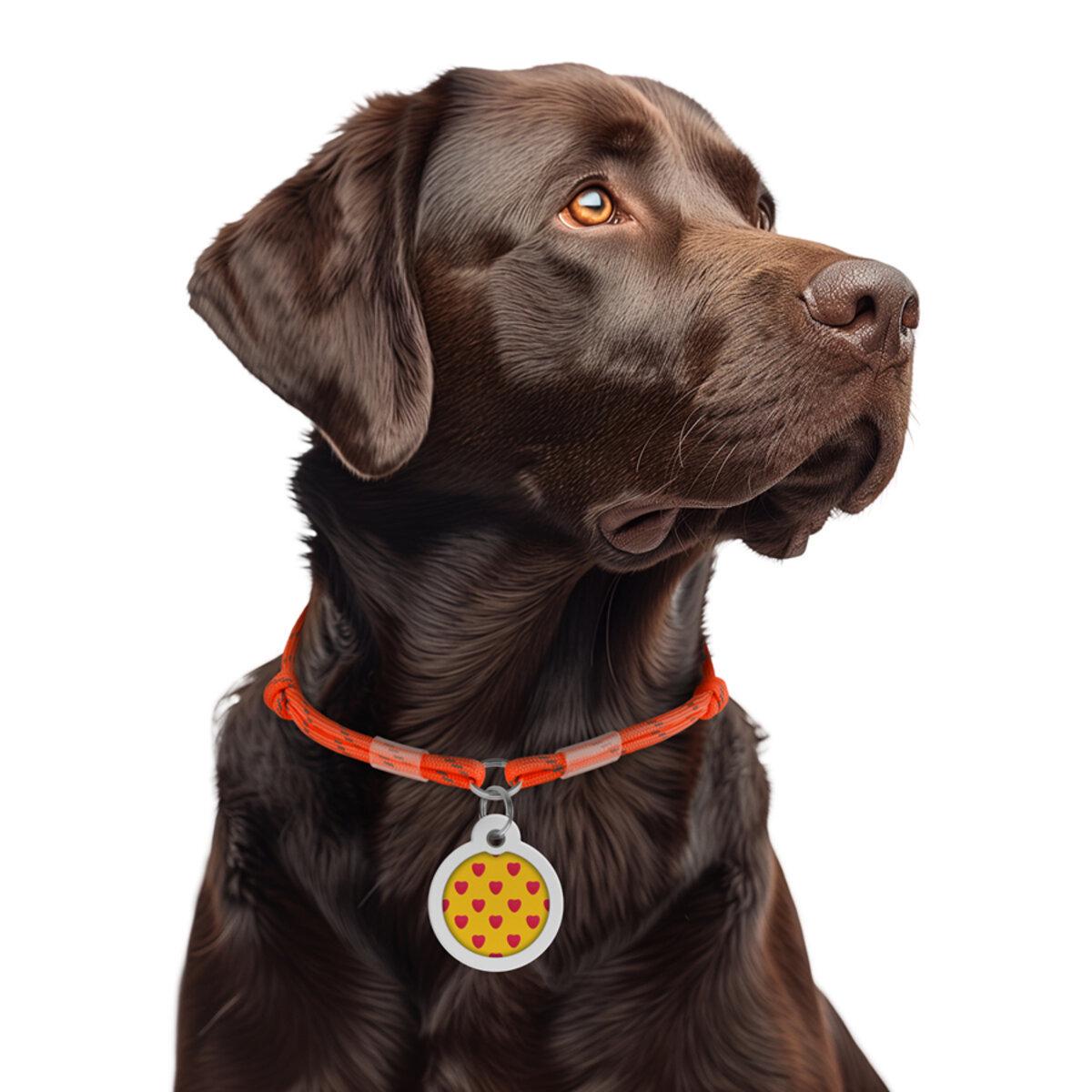 Шнурок для адресника из паракорда Waudog Smart ID светоотражающий М D 4 мм 42-76 см Оранжевый (60394 Col)