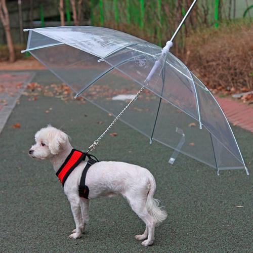 Парасолька для собаки Anex Pet Umbrella (2439) - фото 2