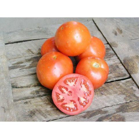 Семена Томат Айсан KS 18 F1 ТД Гекса-Украина 10 шт. 01-25-516 (IR00652)