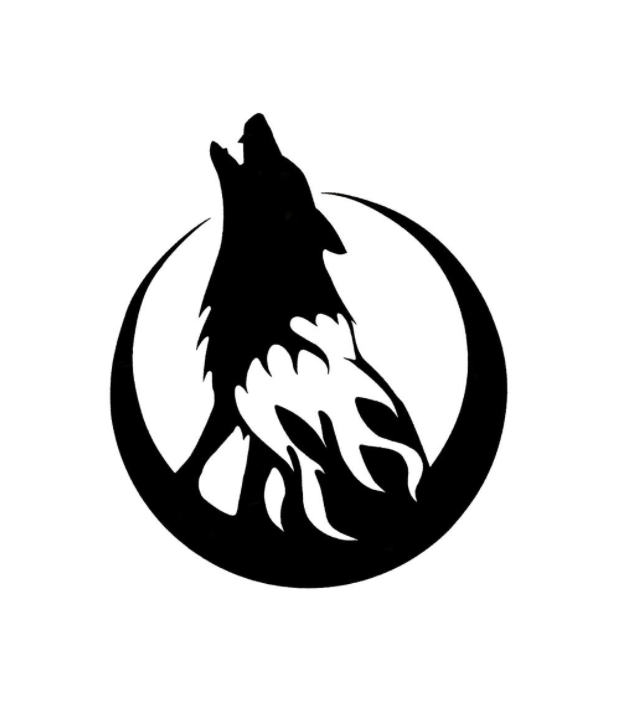 Наклейка на авто AIWA 02667