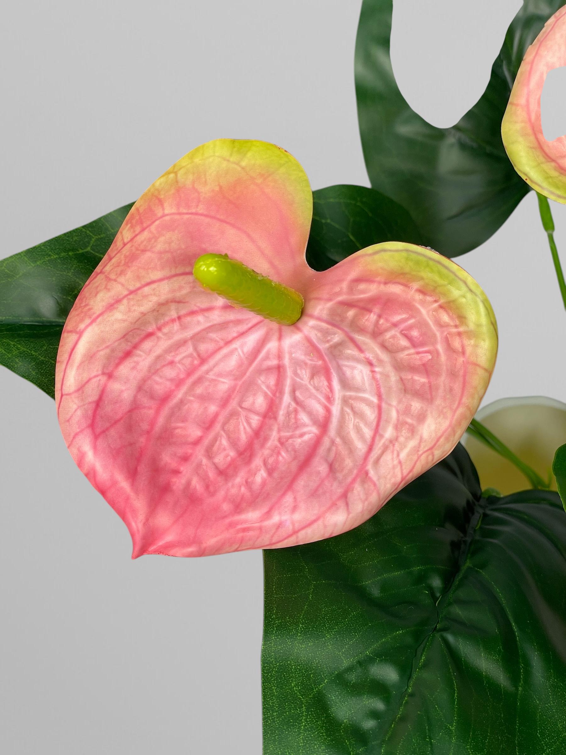 Искусственный антуриум букет 3 цветка 32 см Коралловый (К13108) - фото 3