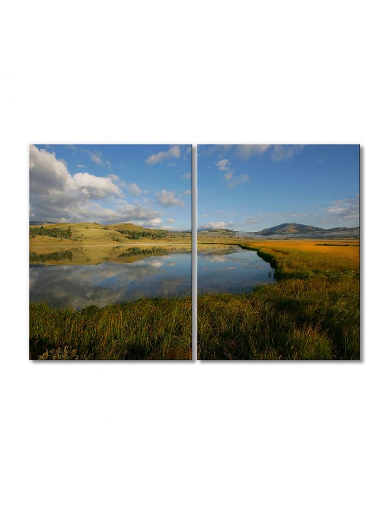 Картина модульная Степь поросшая травянистой растительностью 2 модуля 50x75 см