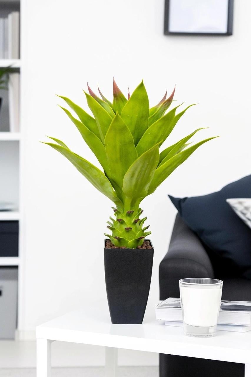 Искусственное растение комнатное Агава Greenflowers 211781 70 см