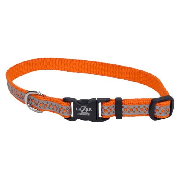 Нашийник світловідбиваючий для собак Coastal Lazer Brite Reflective Collar 1х20-30 см (46331_OAR12) - фото 1 Нашийник світловідбиваючий для собак Coastal Lazer Brite Reflective Collar 1х20-30 см (46331_OAR12) - фото 1