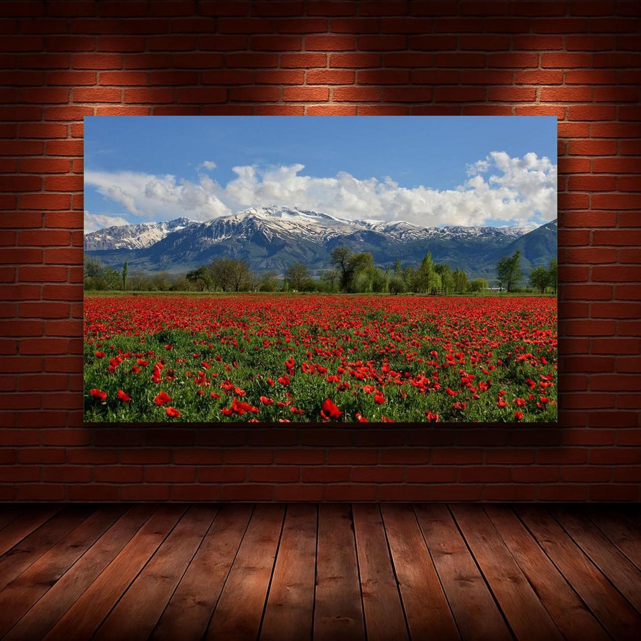 Картина на холсте Природа 30х40 см (N1301)