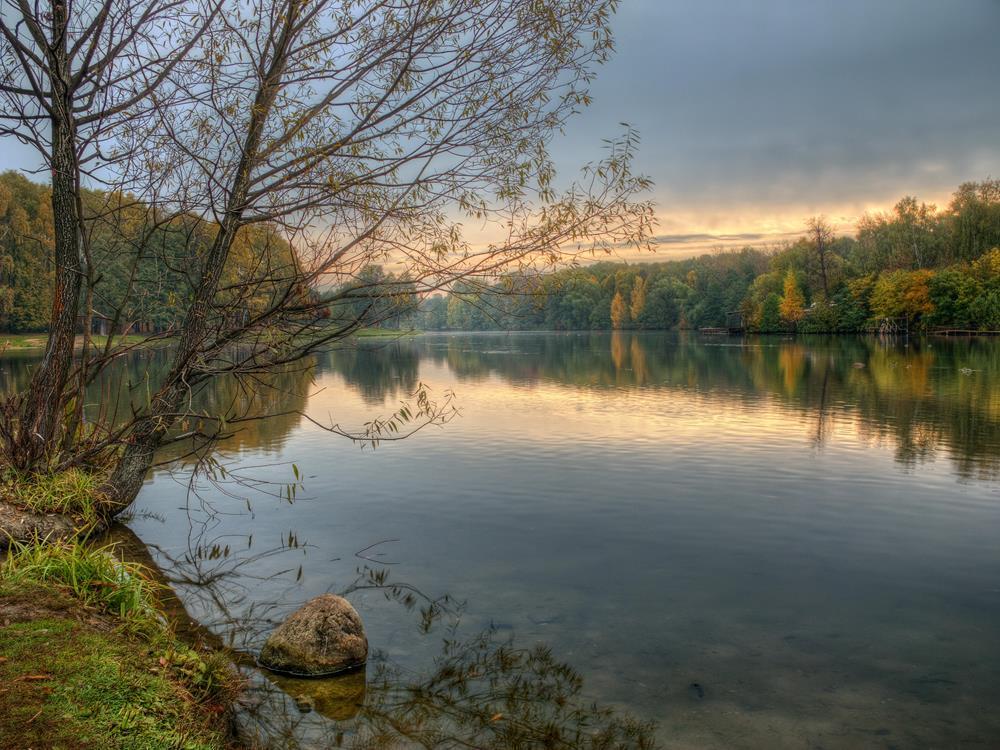 Картина на холсте Природа 35x55 см (N378)