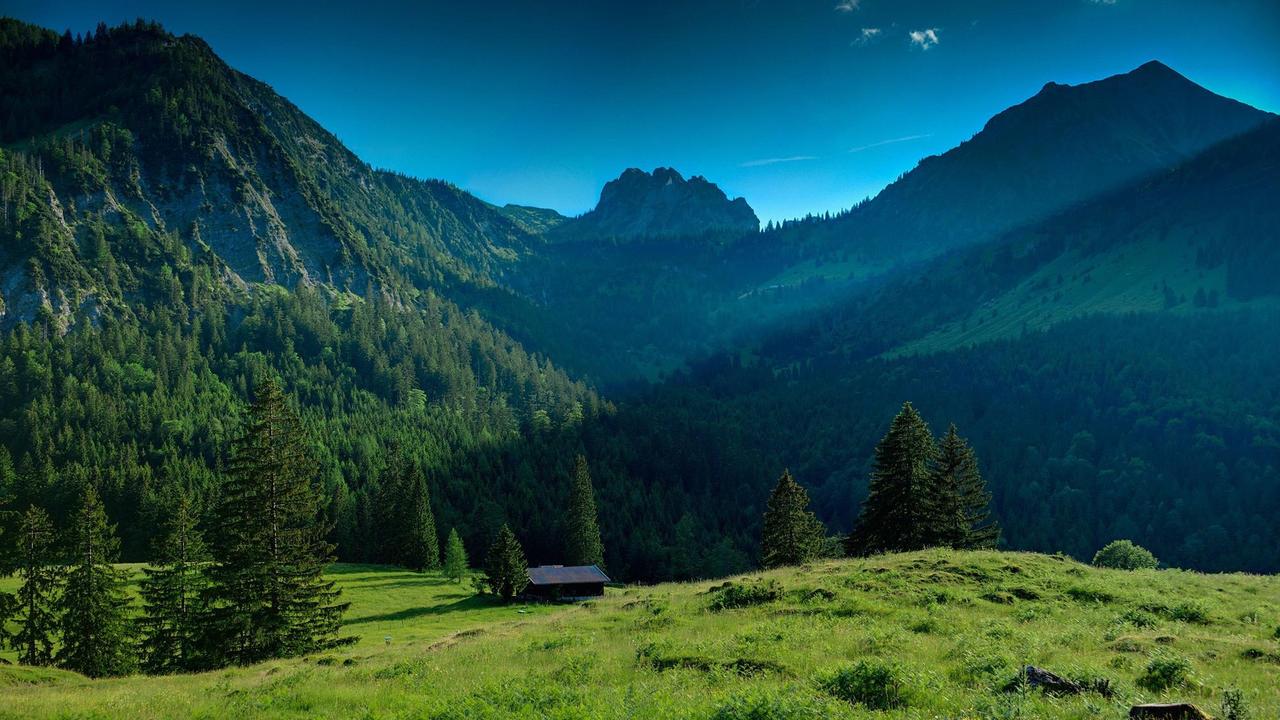 Картина на холсте Природа 55х85 см (PR142L)