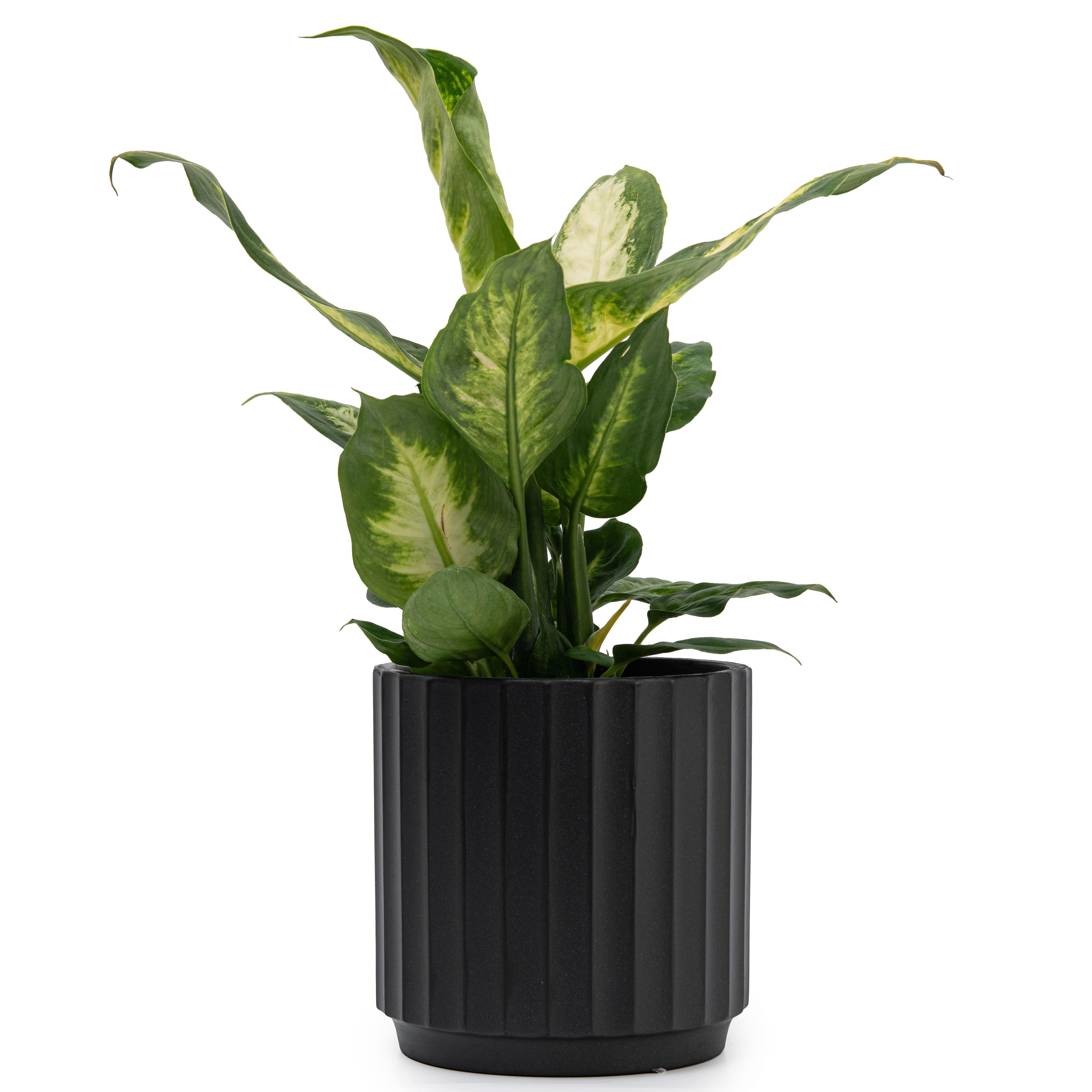 Кашпо для цветов керамическое elemi Грань круглый 1,4 л Черный (УТ-00094972) - фото 5