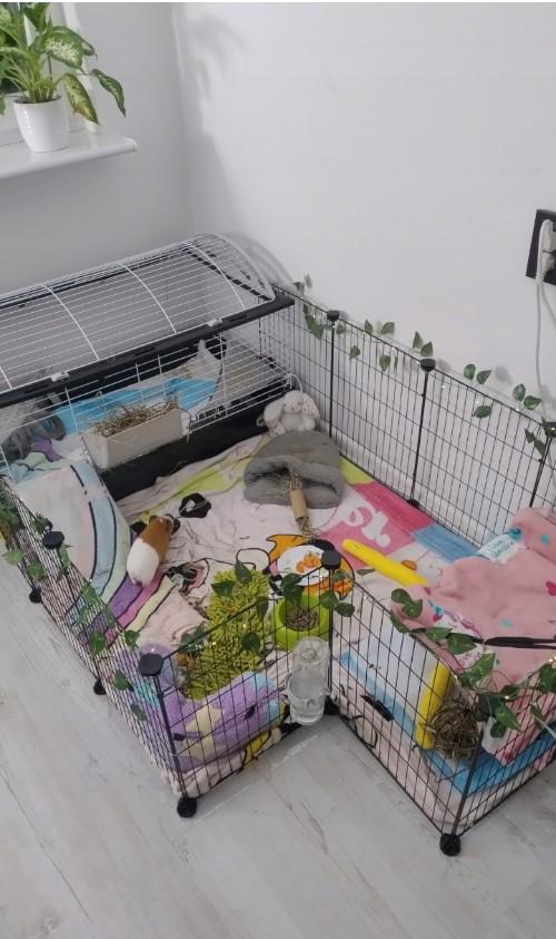 Клітка для гризунів 46х143х73 см - фото 26 Клітка для гризунів 46х143х73 см - фото 26