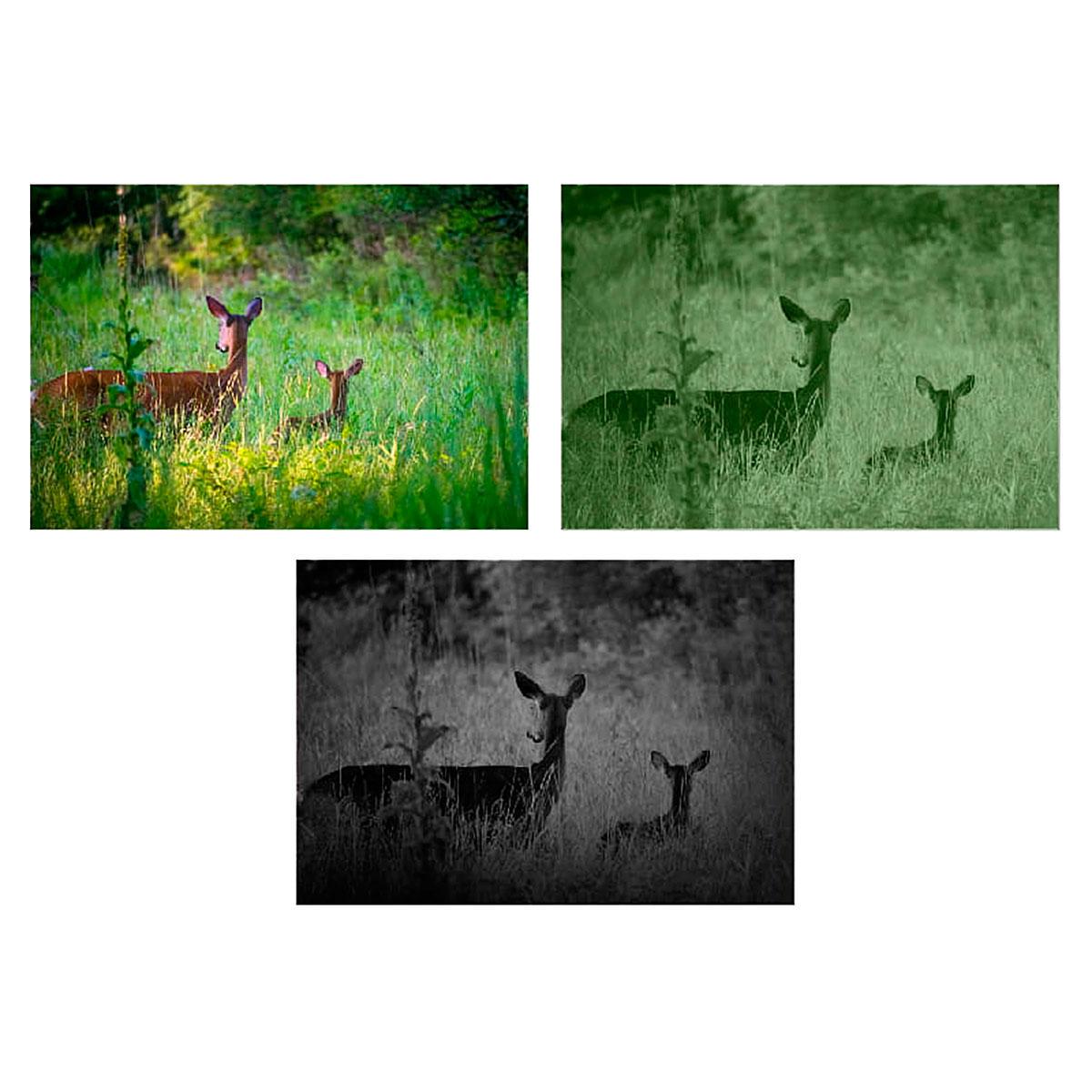 Приціл цифровий GUIDE DU50 1920x1080 50 мм (25072140) - фото 6 Приціл цифровий GUIDE DU50 1920x1080 50 мм (25072140) - фото 6