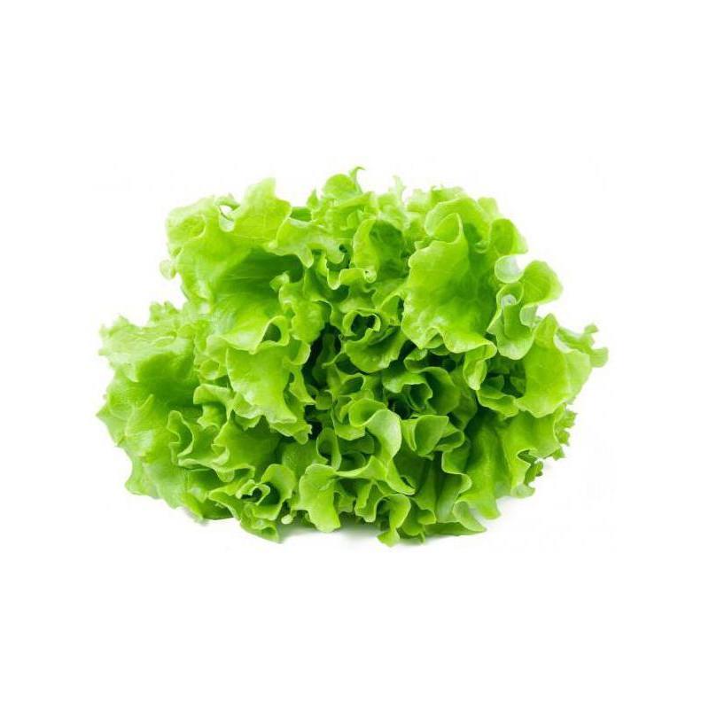 Семена Салат Syngenta ANNISOL 5 000 шт. (1988201360)